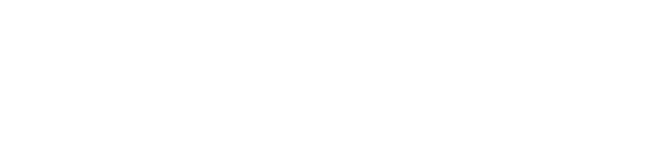 WW Capital White Logo